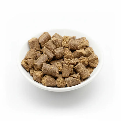 Reico MaxiDog Champion – Das Beste für Ihren Hund Reico