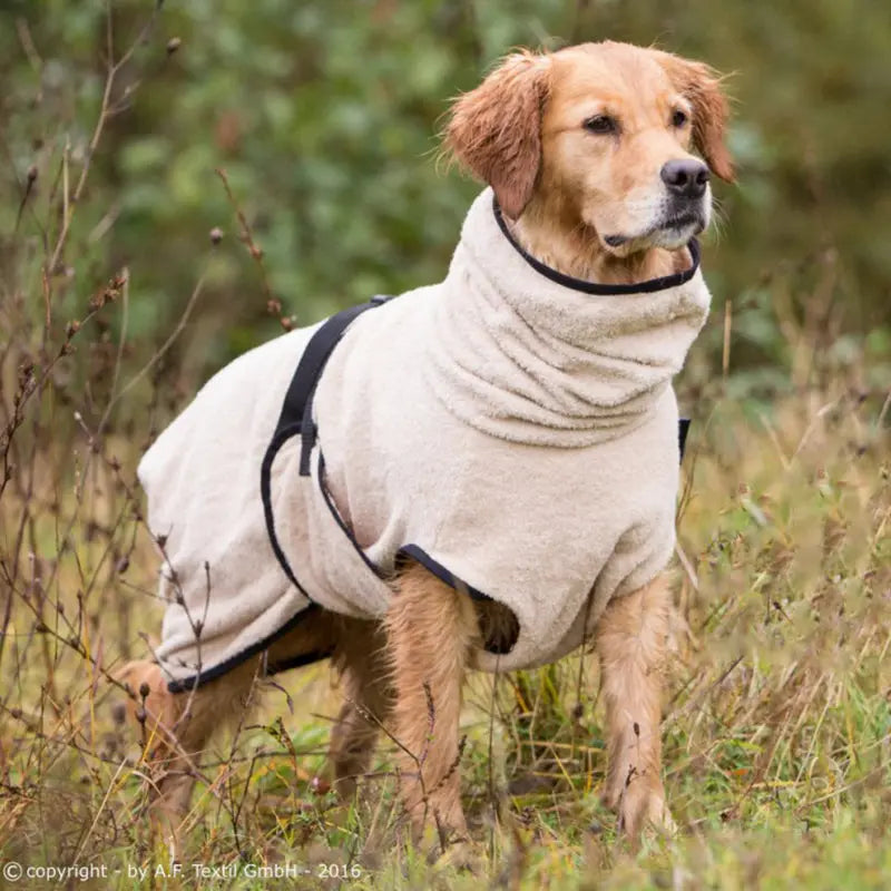 Bademantel für Hunde aus Frottee Florian
