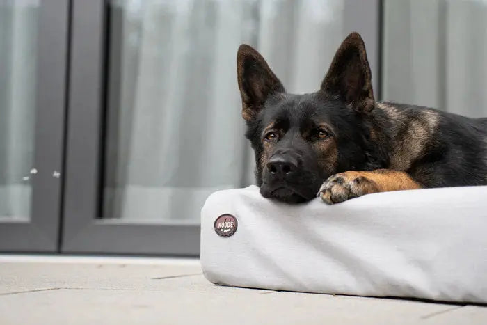 Hundebett KUDDE Outdoor iljoke