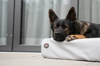 Hundebett KUDDE Outdoor iljoke