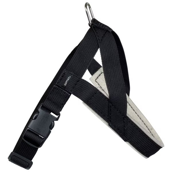 Hetzgeschirr mit Gurt und Griff Junghunde Florian