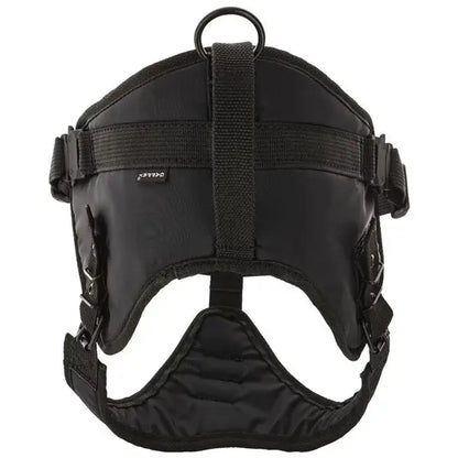 Hetzgeschirr REX 2 mit Cobraschnalle iljoke