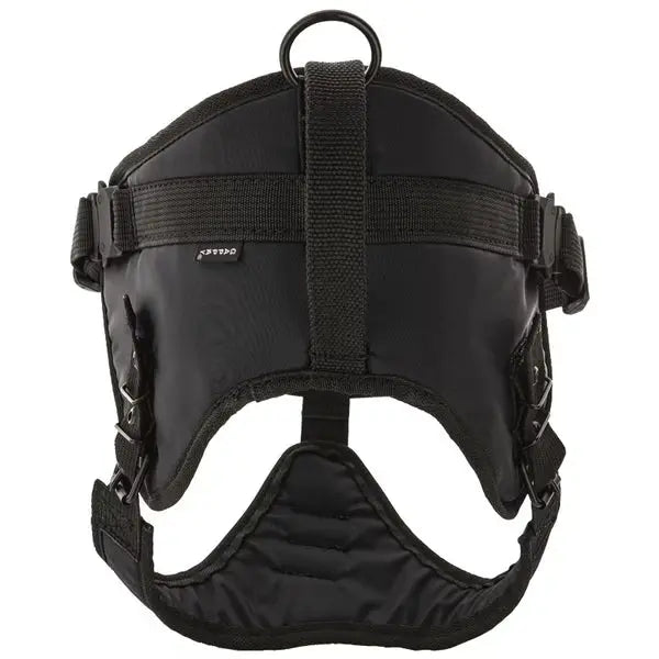 Hetzgeschirr REX 2 mit Cobraschnalle iljoke