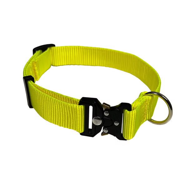 Radikale Halsband Florian