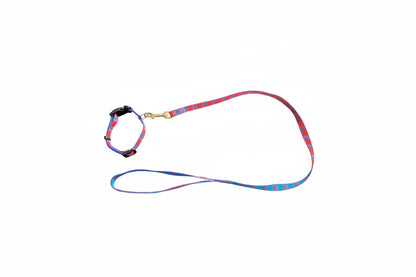 Welpenset Leine & Halsband iljoke