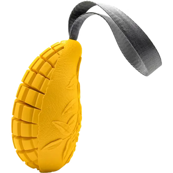 Hundespielzeug FRUIT CHALLENGE Mango iljoke