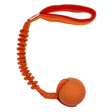 Hoko BASIC M Florian