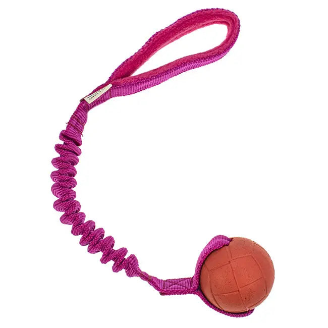 Hoko BASIC M Florian