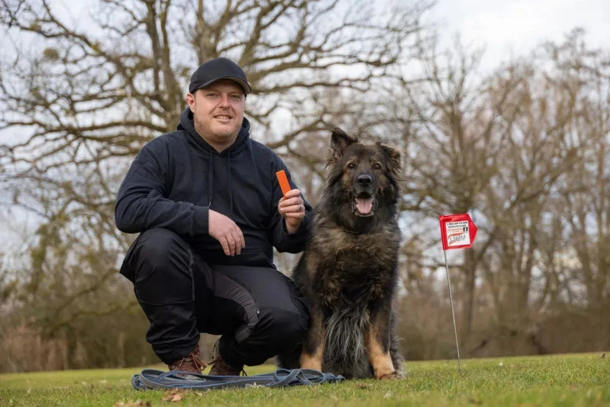 Hundetraining im Freien – Hund sitzt neben seinem Besitzer und erhält einen Trainingssnack als Belohnung.