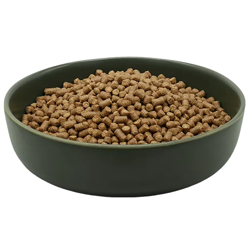 Premium Katzen Trockenfutter im Futternapf – hochwertiges Trockenfutter für Katzen für eine ausgewogene, artgerechte und tägliche Ernährung.