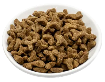 Reico MaxiCat Sterne Menü Florian