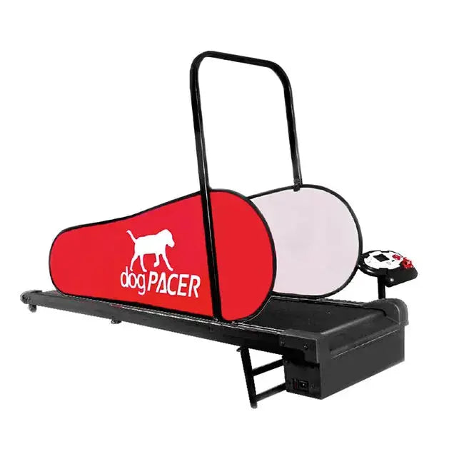 dogPACER® LF 3.1 – Elektrisches Laufband für Hund iljoke