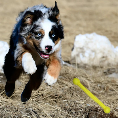 Moby Hundestock Größe M