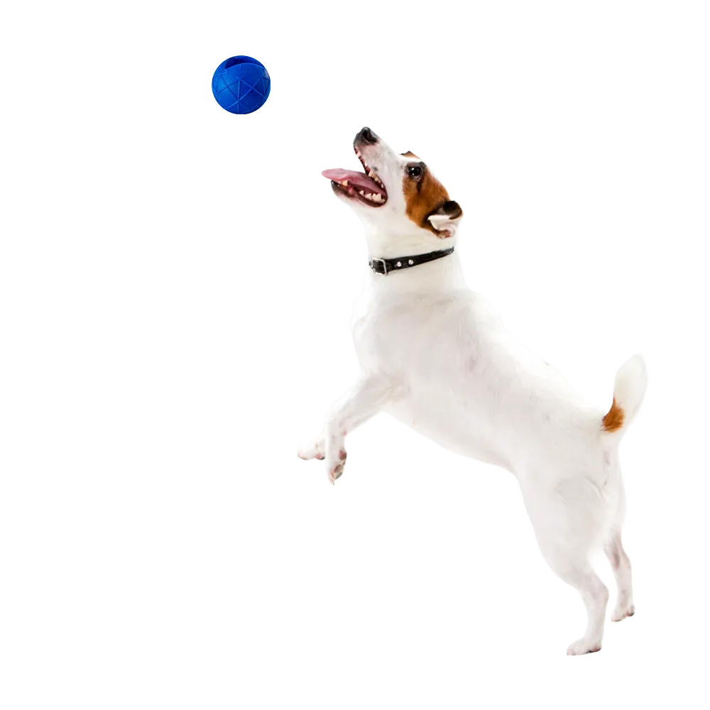 Moby Hundeball Größe L