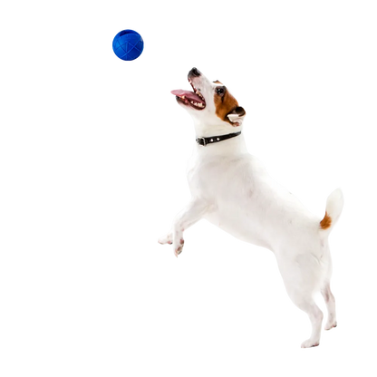 Moby Hundeball Größe L