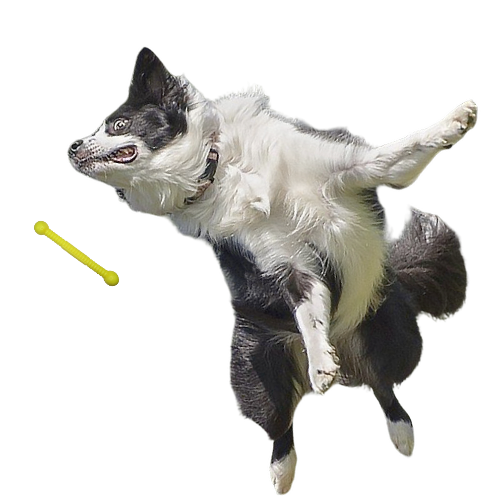 Moby Hundestock Größe L