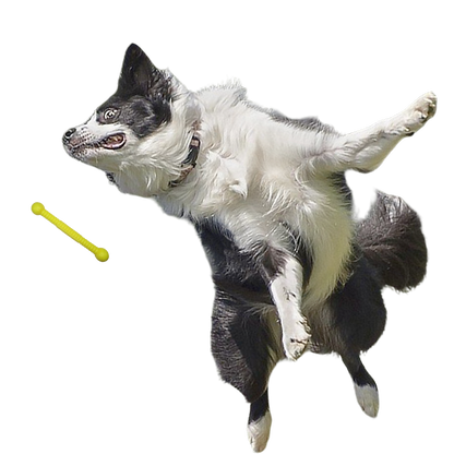 Moby Hundestock Größe L