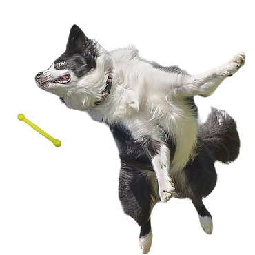 Moby Hundestock Größe M