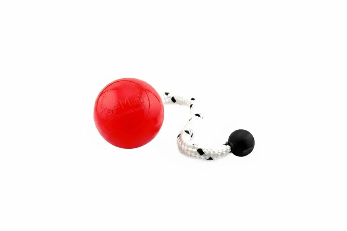 Top-Matic Fun Ball Flex iljoke