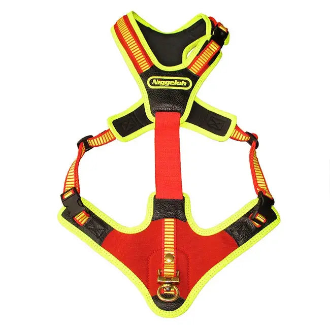 Niggeloh Follow TRAIL Geschirr – Funktionales Führ- und Trailgeschirr iljoke