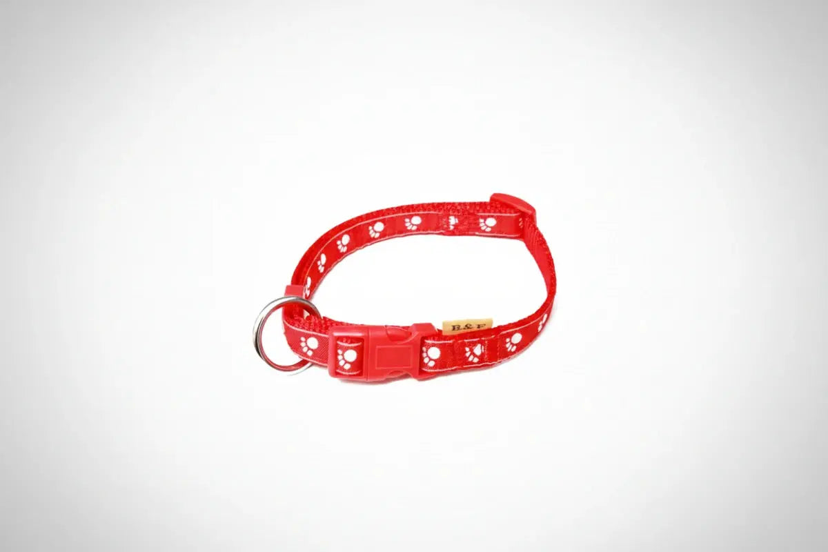 Welpenhalsband 15 mm – Verstellbares Nylon Halsband iljoke