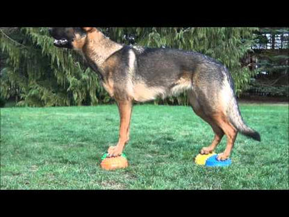 Gymnic® MultiActive Stone – Koordinations- & Balancetraining für Hunde