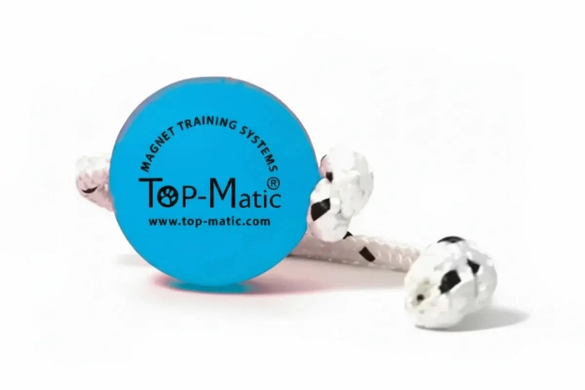 Top-Matic Fun Ball soft Magnetball für Hundetraining iljoke