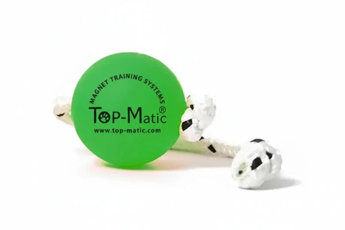 Top-Matic Fun Ball Mini Magnetball iljoke