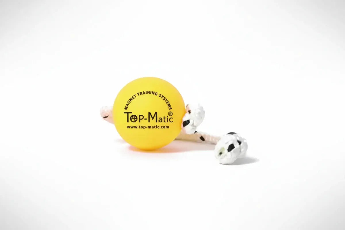 Top-Matic Fun Ball Mini soft Magnetball Hundetraining iljoke