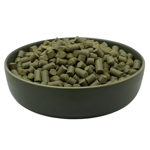 Schüssel mit Reico Algen-Hundefutter als Trockenfutter für ernährungssensible Hunde und Hunde mit Futtermittelunverträglichkeiten.