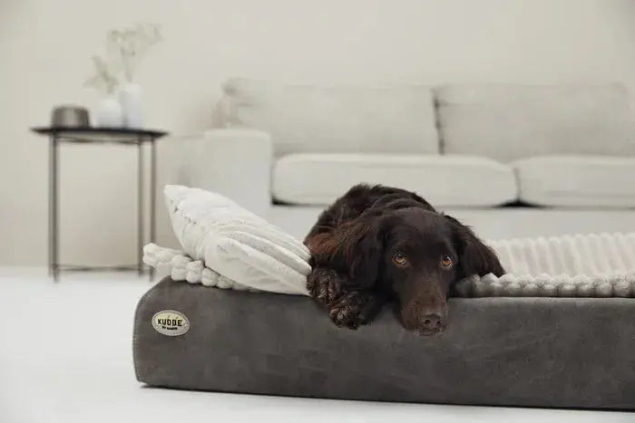 Kuschelkissen Mjuckis Breitcord – Weiches Premium Hundekissen iljoke