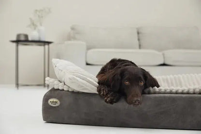 Kuschelkissen Mjuckis Breitcord – Weiches Premium Hundekissen iljoke