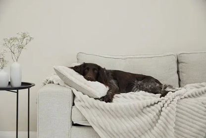 Kuschelkissen Mjuckis Breitcord – Weiches Premium Hundekissen iljoke