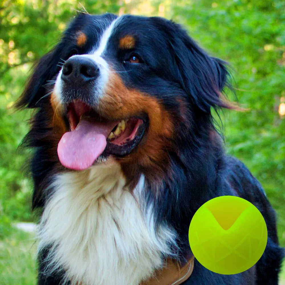 Moby Hundeball Größe XXL