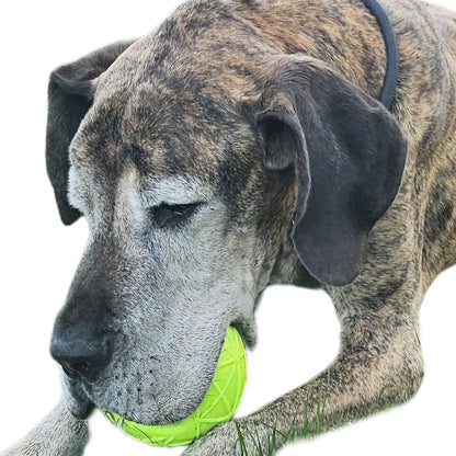 Moby Hundeball Größe XXL